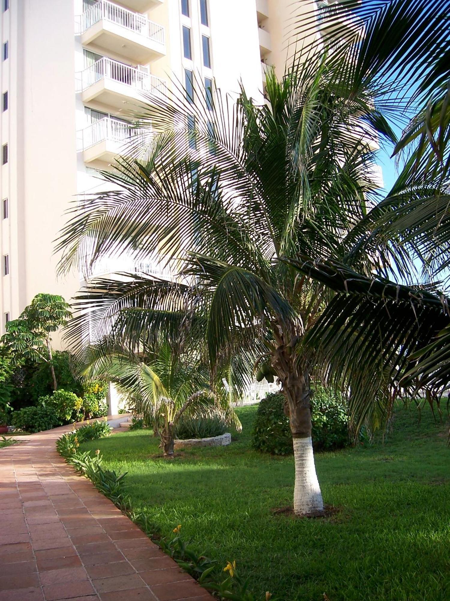 Salvia Cancun Aparts Buitenkant foto